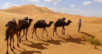 Coucher de soleil sur les dunes de merzouga